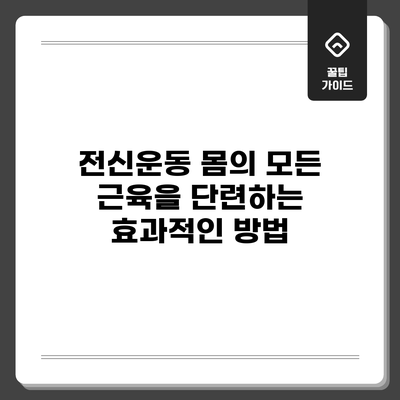 전신운동: 몸의 모든 근육을 단련하는 효과적인 방법