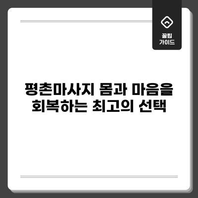 평촌마사지: 몸과 마음을 회복하는 최고의 선택